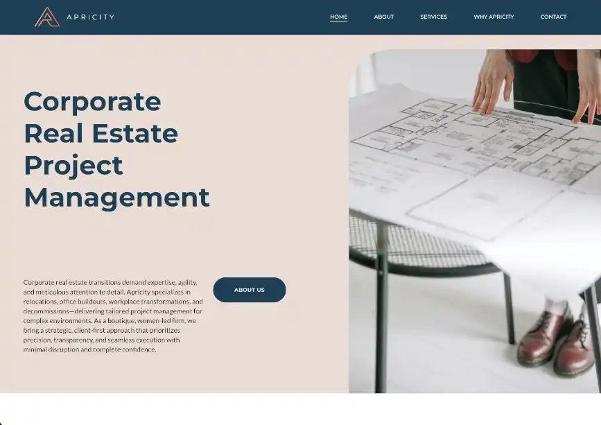 Image of Apricity homepage by Gridd design